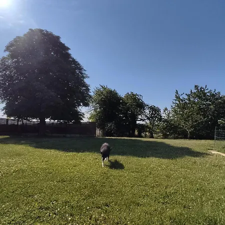 La Casa De Coco Ubytování v soukromí *